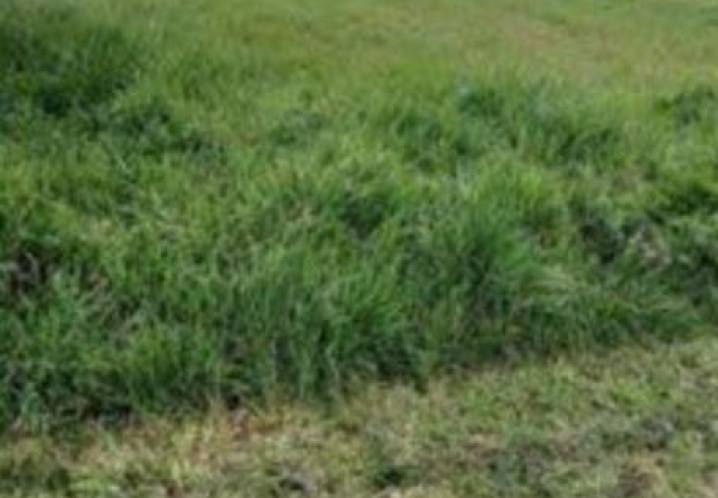 Terrain • Vente • 740m2 • Luzillat