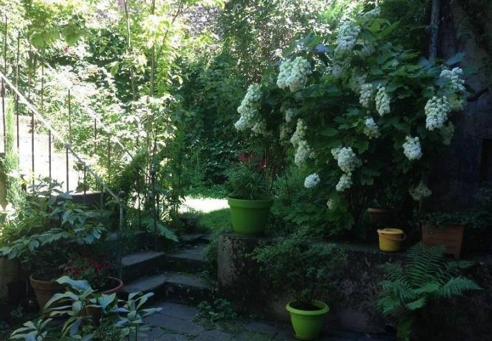Appartement • Location • 30m2 • Cathédrale • Clermont-Ferrand