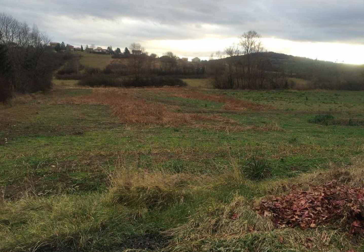 Terrain • Orcet • 423m2